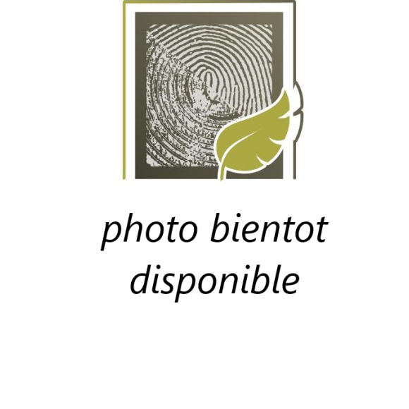 carrelet hêtre échauffé